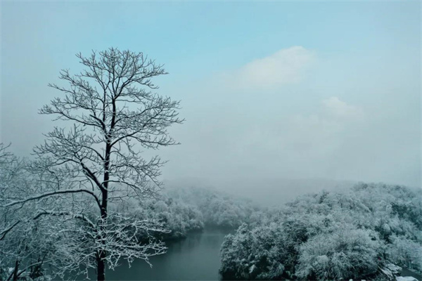 在銅鑼壩，來一場與風雪邂逅的浪漫